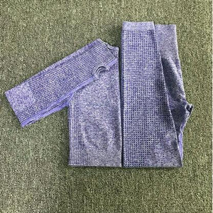 Women Seamless yoga set Fitness Sport Suits GYM cloth Yoga  Shirts High Waist Running Leggings Workout Pants Shirts Bra Tops