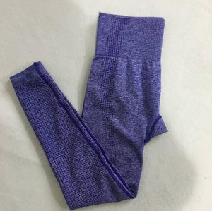 Women Seamless yoga set Fitness Sport Suits GYM cloth Yoga  Shirts High Waist Running Leggings Workout Pants Shirts Bra Tops
