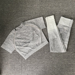 Seamless Women Yoga Set Long Sleeve Top High Waist Belly Control Sport Leggings Gym Clothes Seamless Sport Suit canbe alone buy